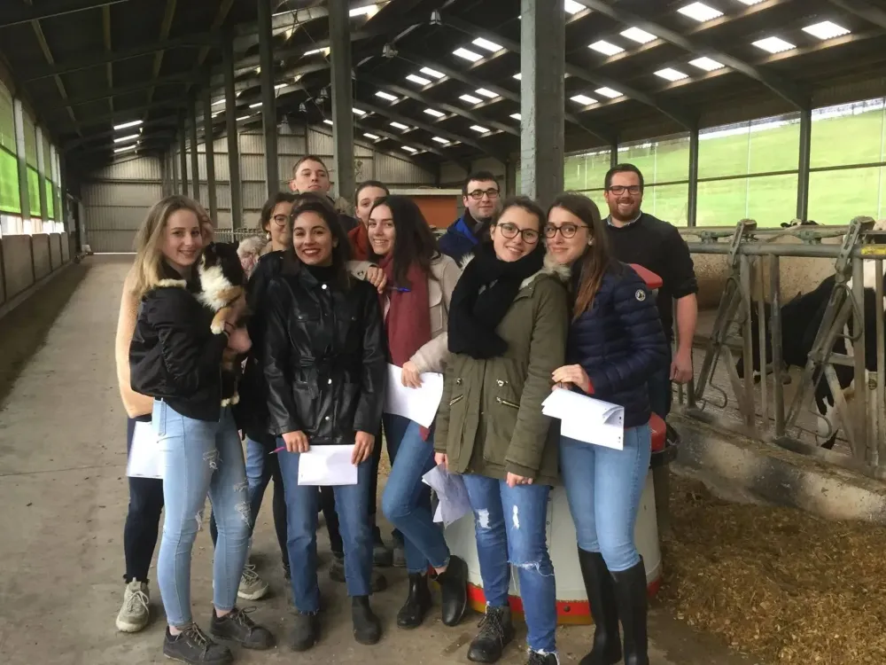 Formation en élevage bovin à Villers-Bocage
