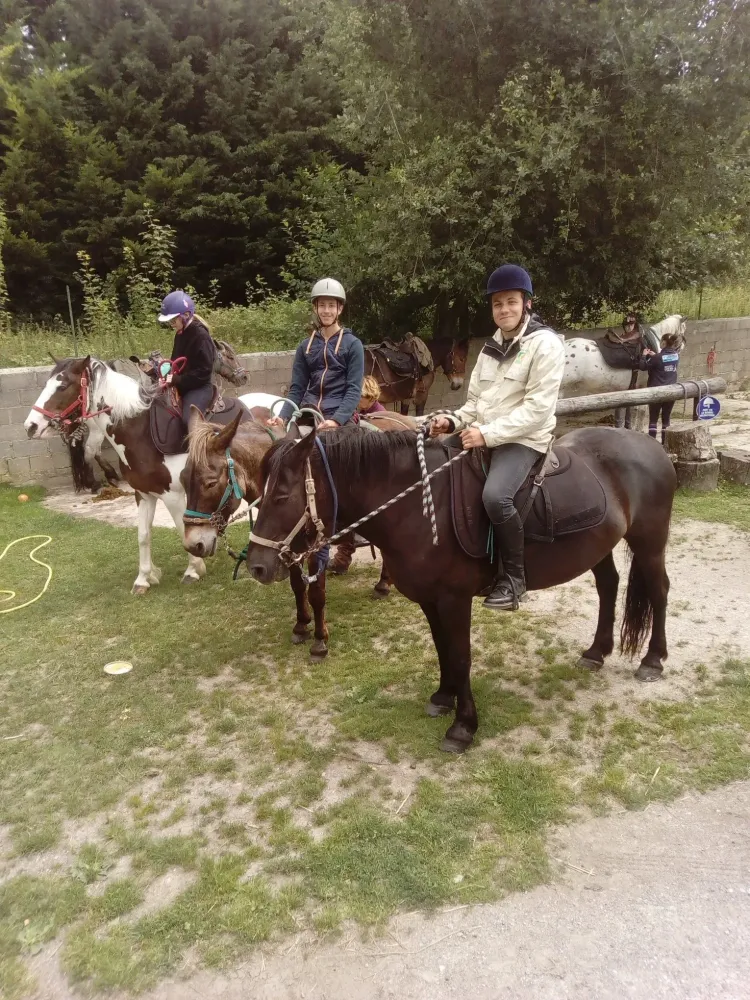 cours-poney